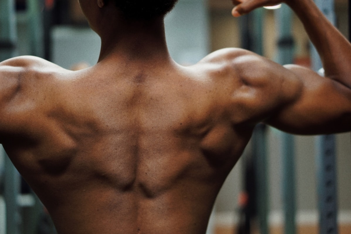 Créatine performance musculaire
